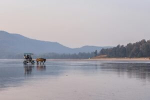 pexels-daredevil-6252025