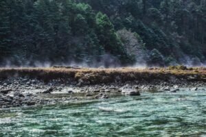 pexels-perfectlyimperfect-2682181