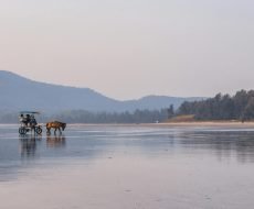 pexels-daredevil-6252025