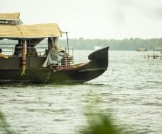 pexels-gokul-mohan-3043412-12921487