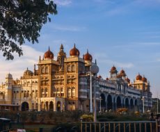 pexels-pranavsinh232-5480518