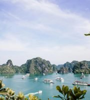 pexels-rachel-claire-7276577