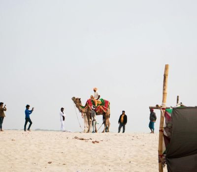 pexels-rahulp9800-14477166