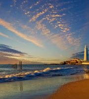 pexels-raybilcliff-26694364