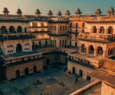 pexels-thebioscopeguy-20000867