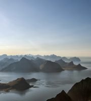 pexels-therato-32264021