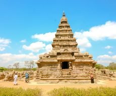 pexels-varan-7365978